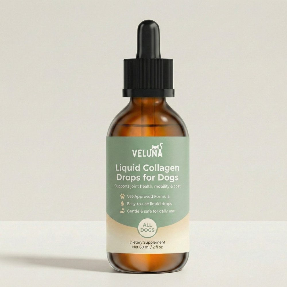Colagénio Líquido Premium Veluna para Cães