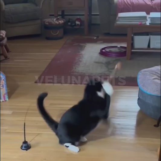 Pássaro voador interativo para gatos