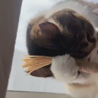 Bastões Dentais de Silvervine para Gatos