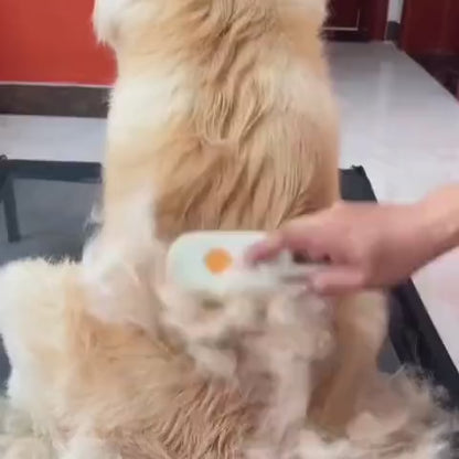 Escova a Vapor Multifuncional 4 em 1 para cães